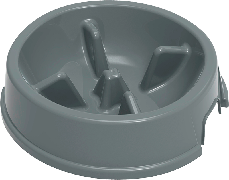 Stella Slow feed Bowl