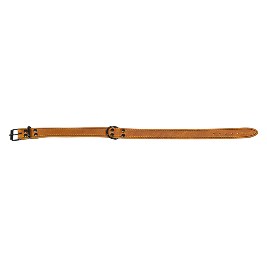 Black label lederen halsband