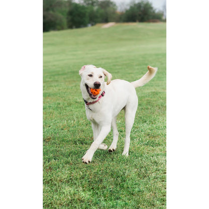 Chuckit! Air fetch ball
