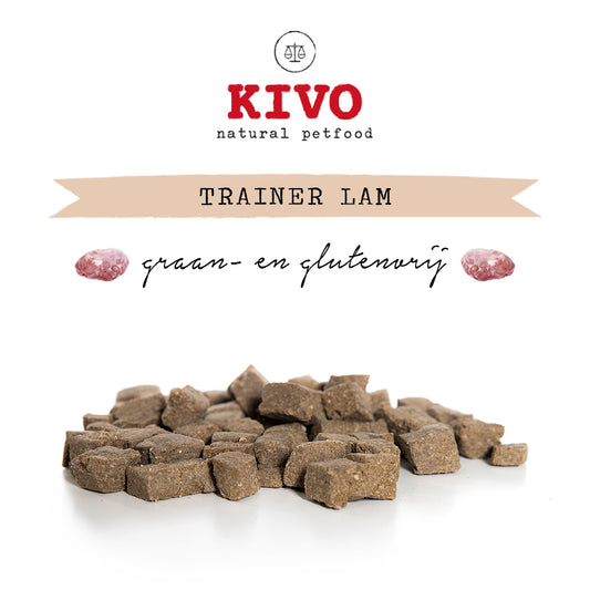 Trainer lam