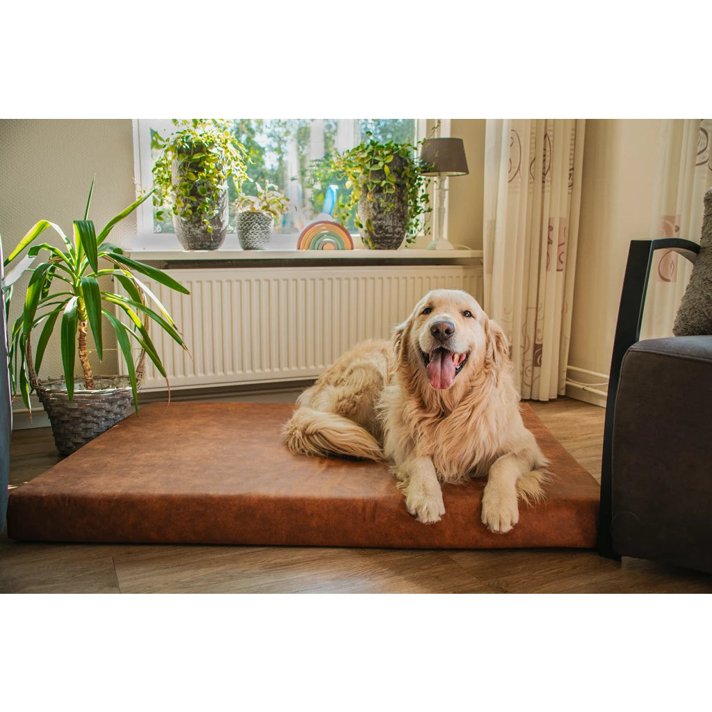 Orthopedisch kussen cognac