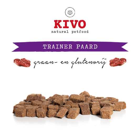 Trainer paard