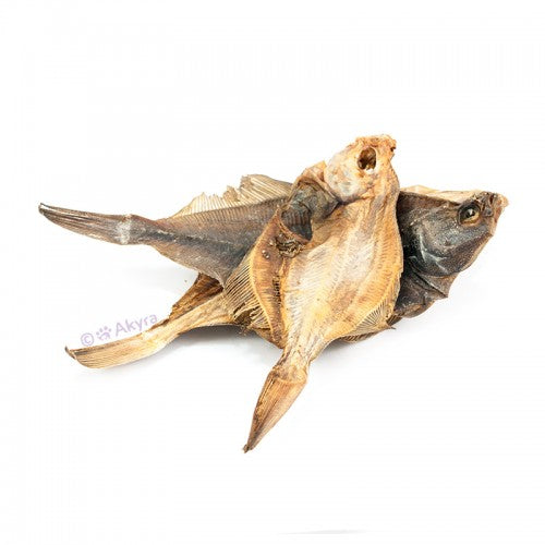 Scholletjes