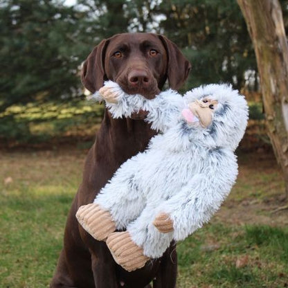 Yeti